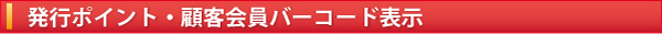 発行ポイント表示